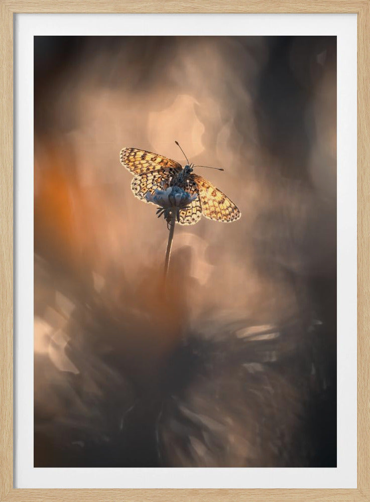 Natuurlijk ingelijst | Poster