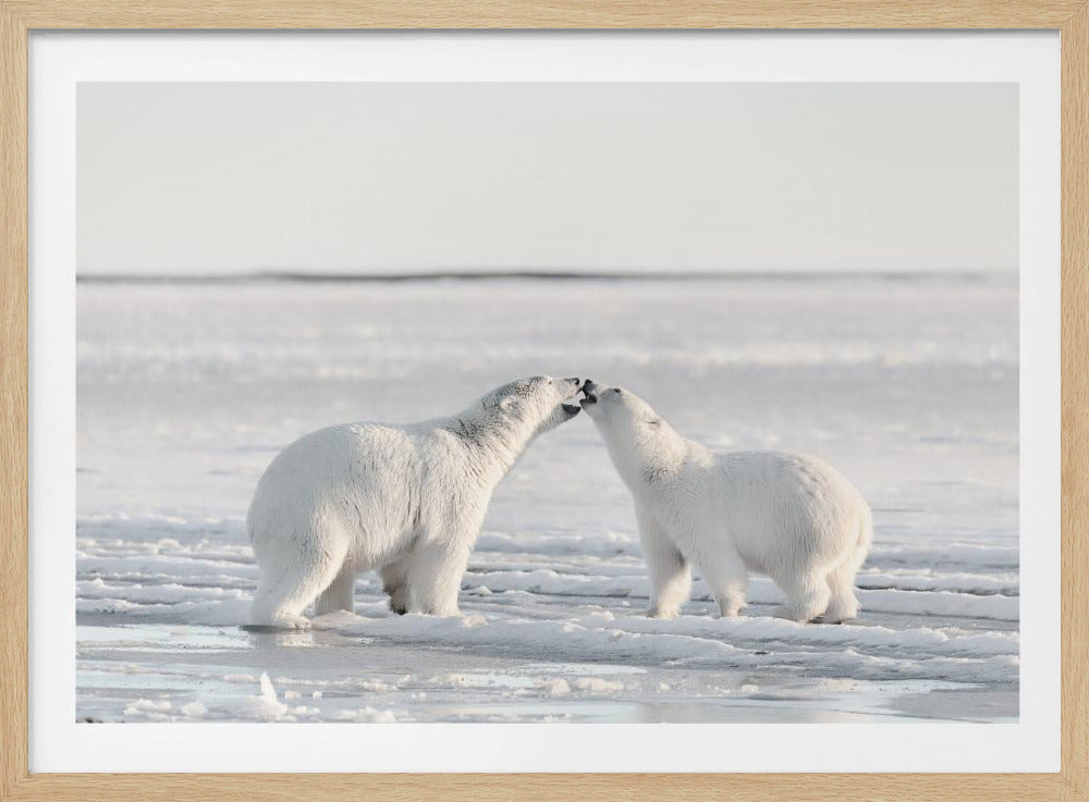 Ochtendviering | Poster