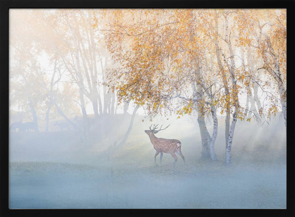 Elanden verdwaald in de mist | Poster