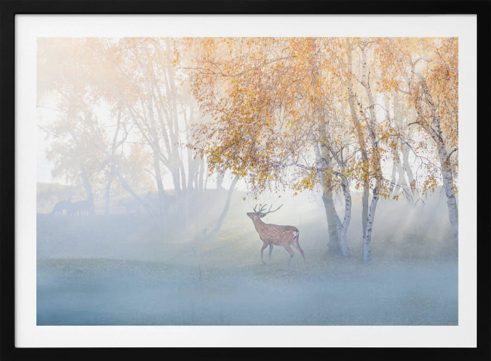 Elanden verdwaald in de mist | Poster