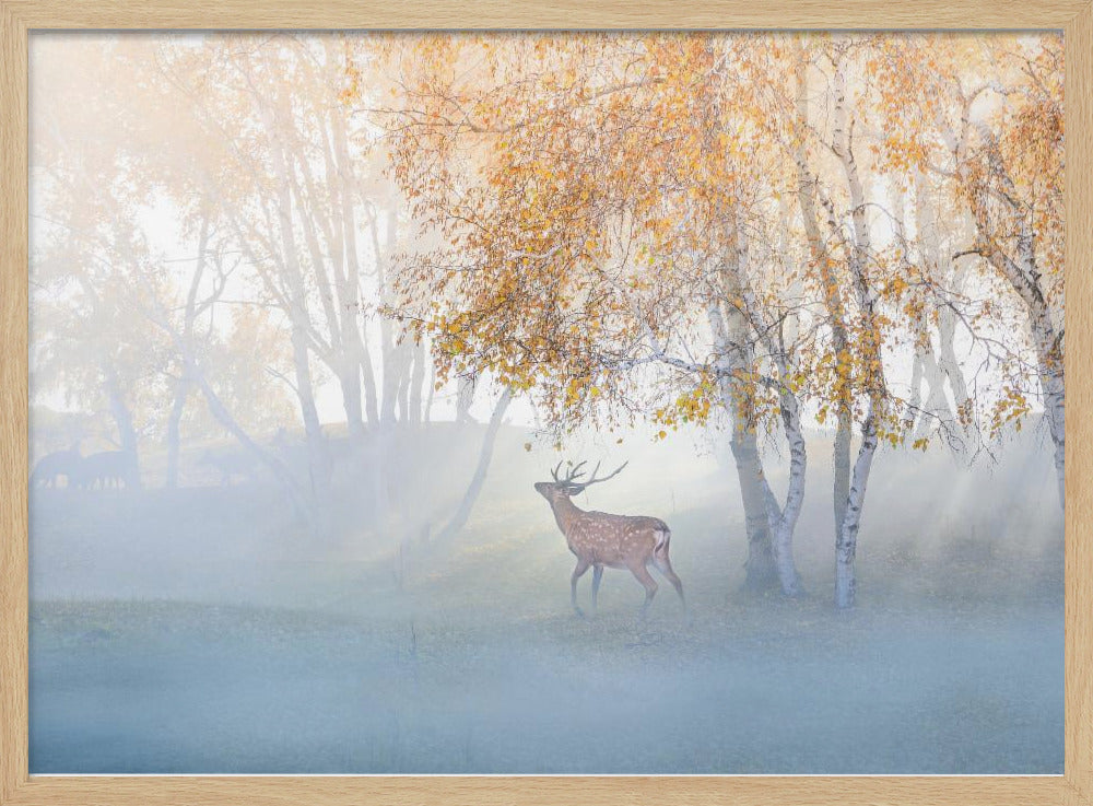 Elanden verdwaald in de mist | Poster