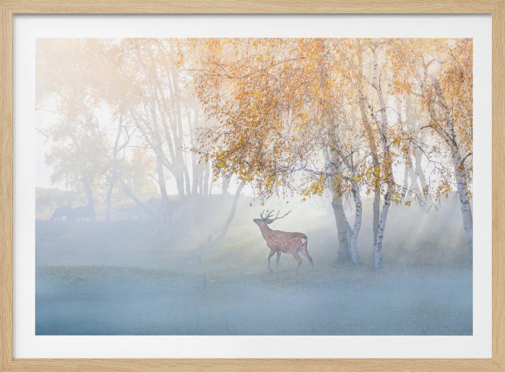 Elanden verdwaald in de mist | Poster