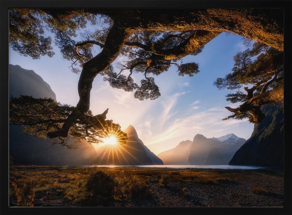 Zonnige dag in Milford Sound | Poster