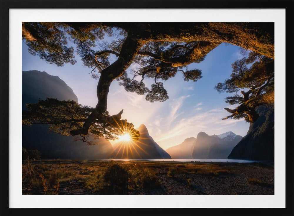Zonnige dag in Milford Sound | Poster