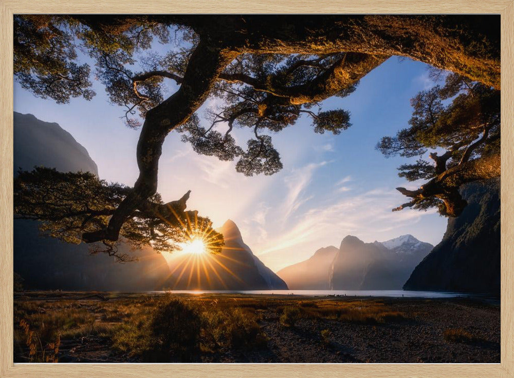 Zonnige dag in Milford Sound | Poster