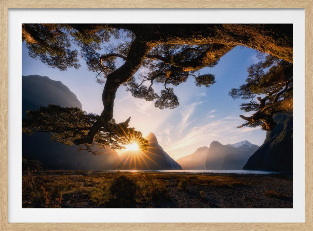 Zonnige dag in Milford Sound | Poster