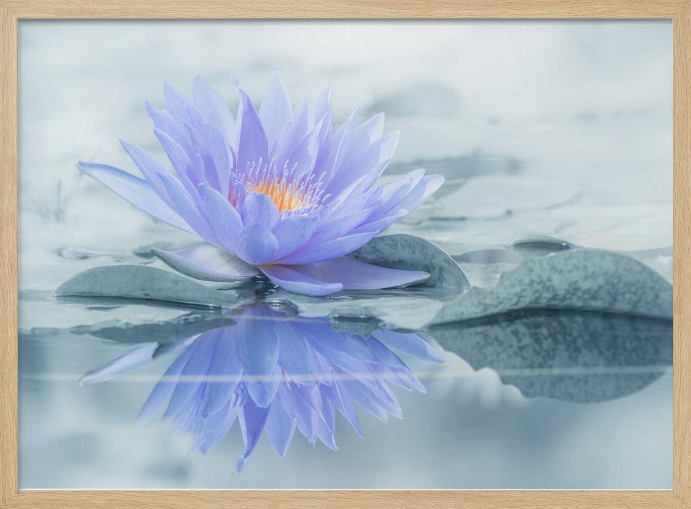 Reflectie | Poster