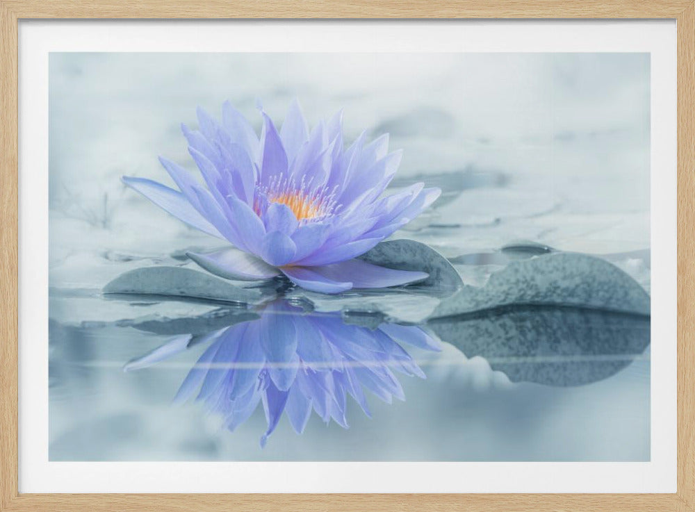Reflectie | Poster