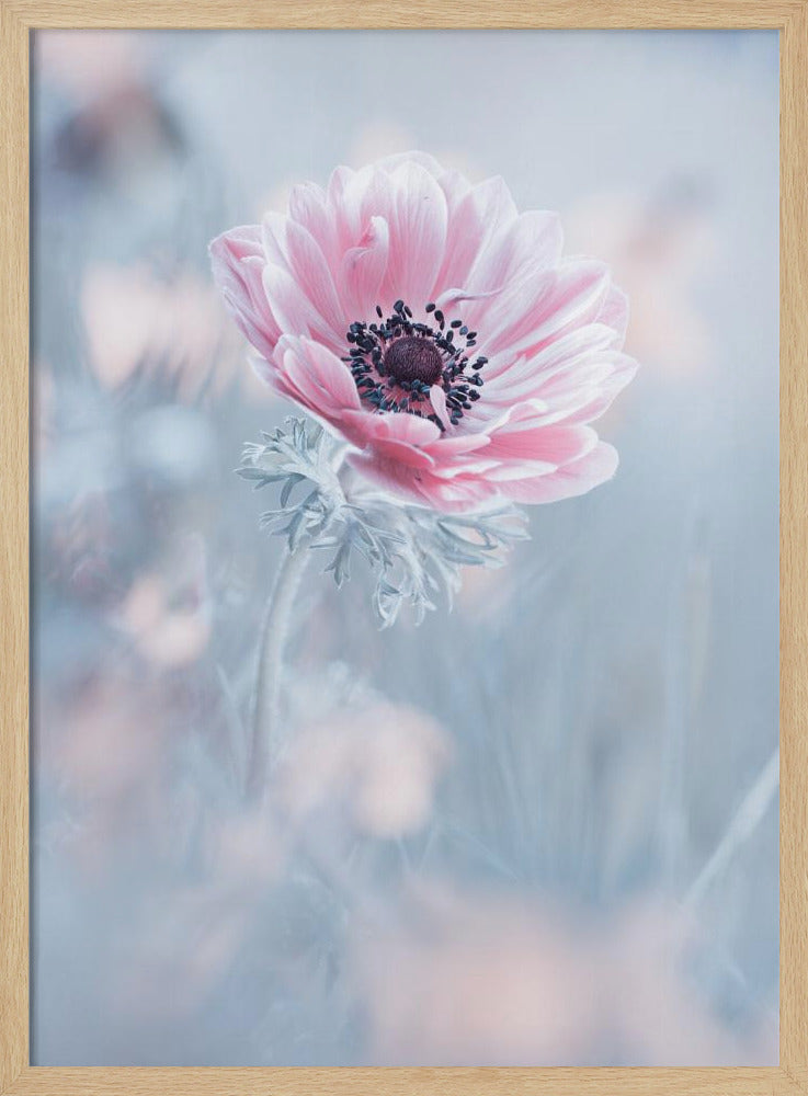 De koningin van de sneeuw | Poster
