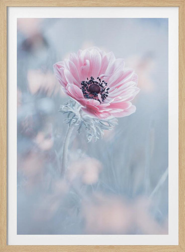 De koningin van de sneeuw | Poster