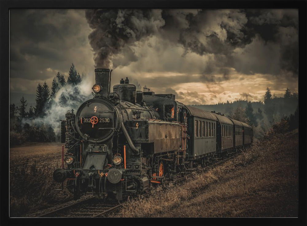 Gold digger train | Poster