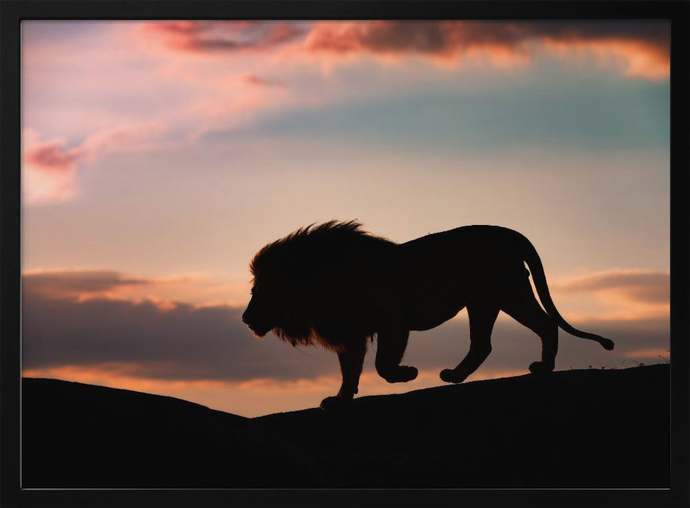 Zonsondergang in de Serengeti | Poster