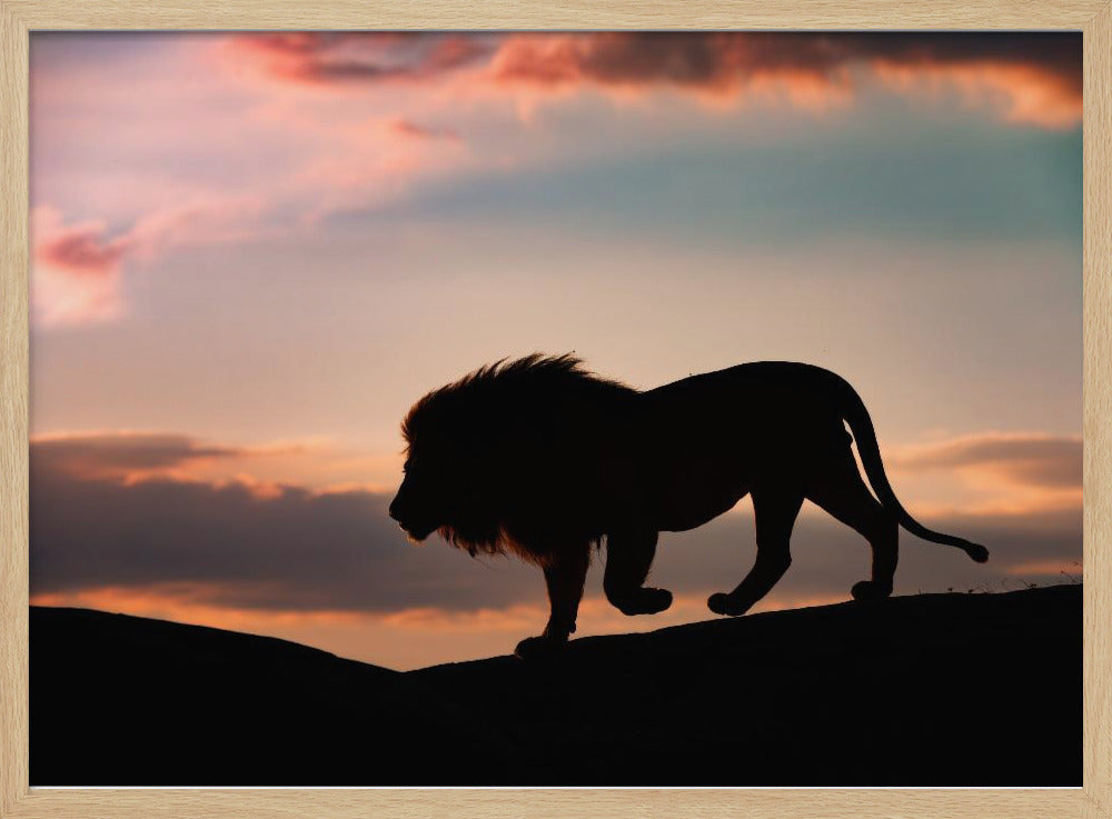 Zonsondergang in de Serengeti | Poster