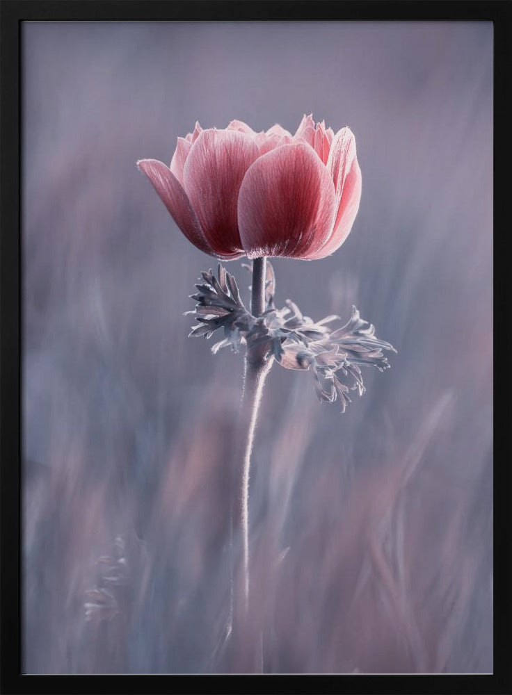 Roze! En dan? | Poster