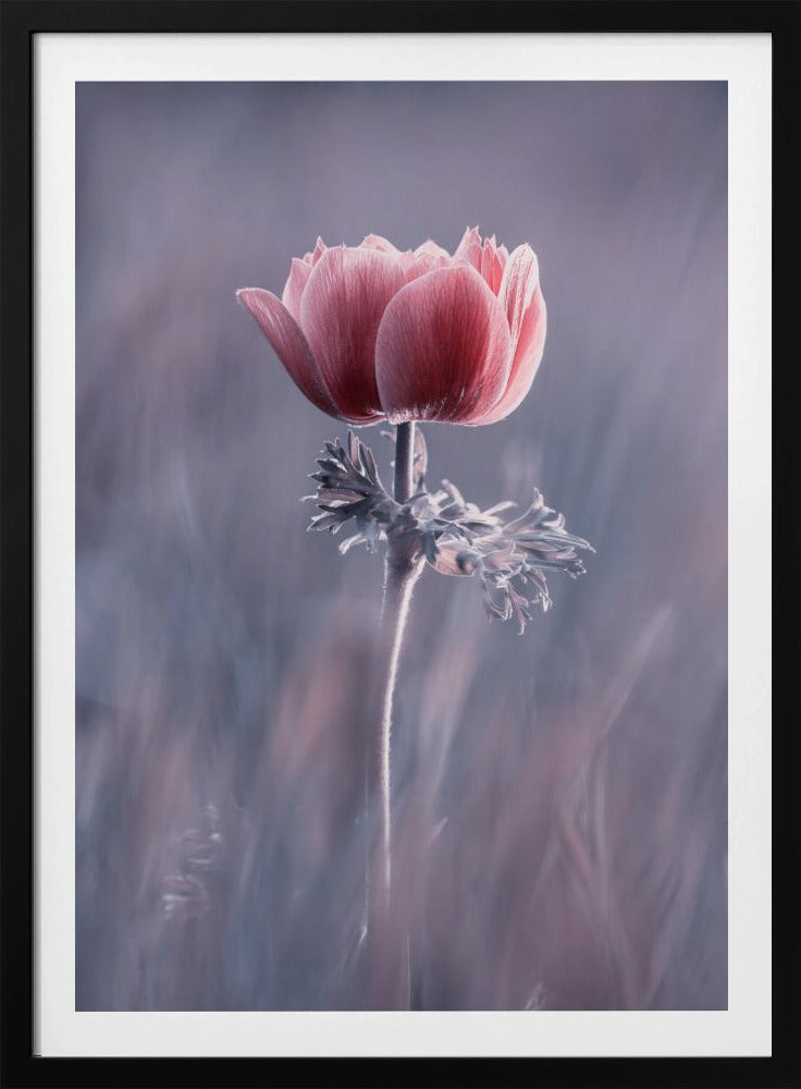 Roze! En dan? | Poster