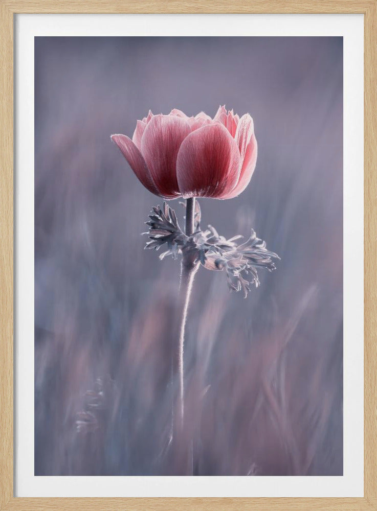 Roze! En dan? | Poster