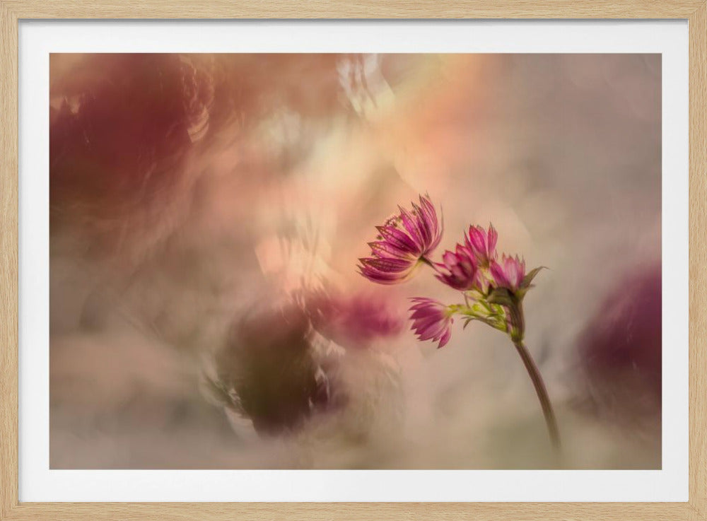 Zacht en licht | Poster