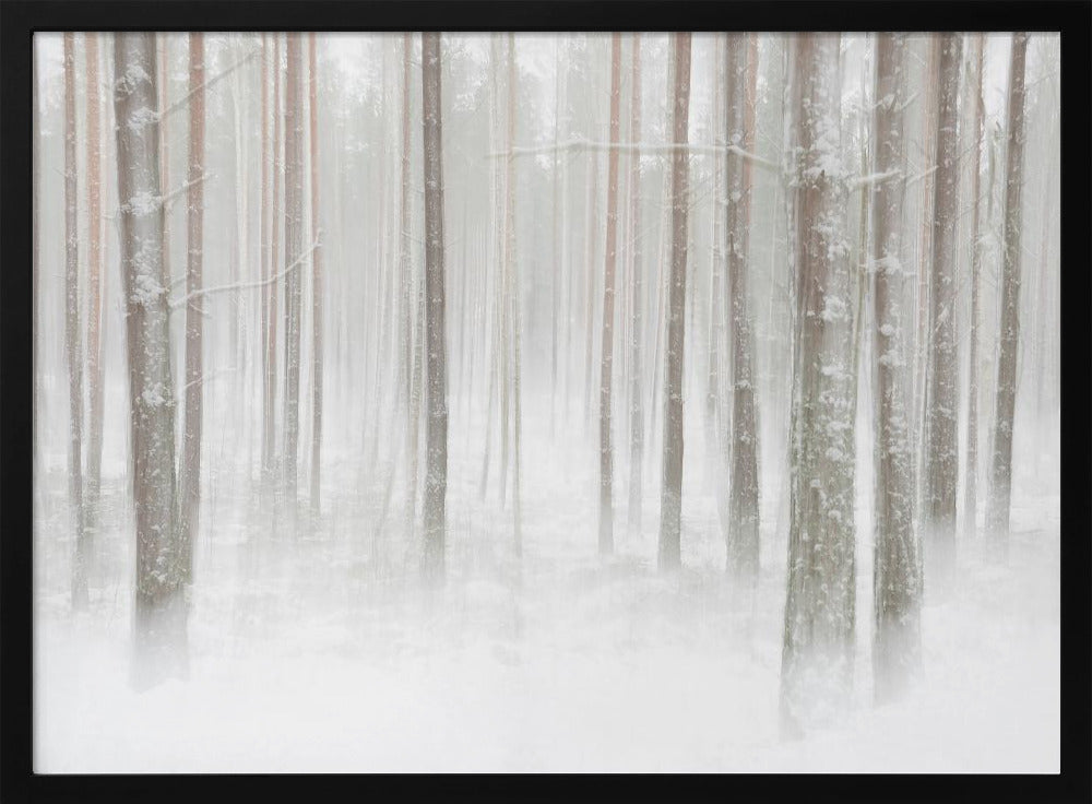 Winterbos in Zweden | Poster