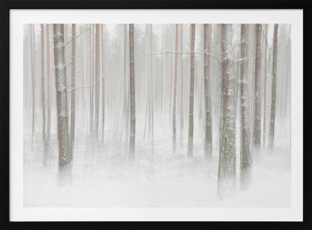 Winterbos in Zweden | Poster