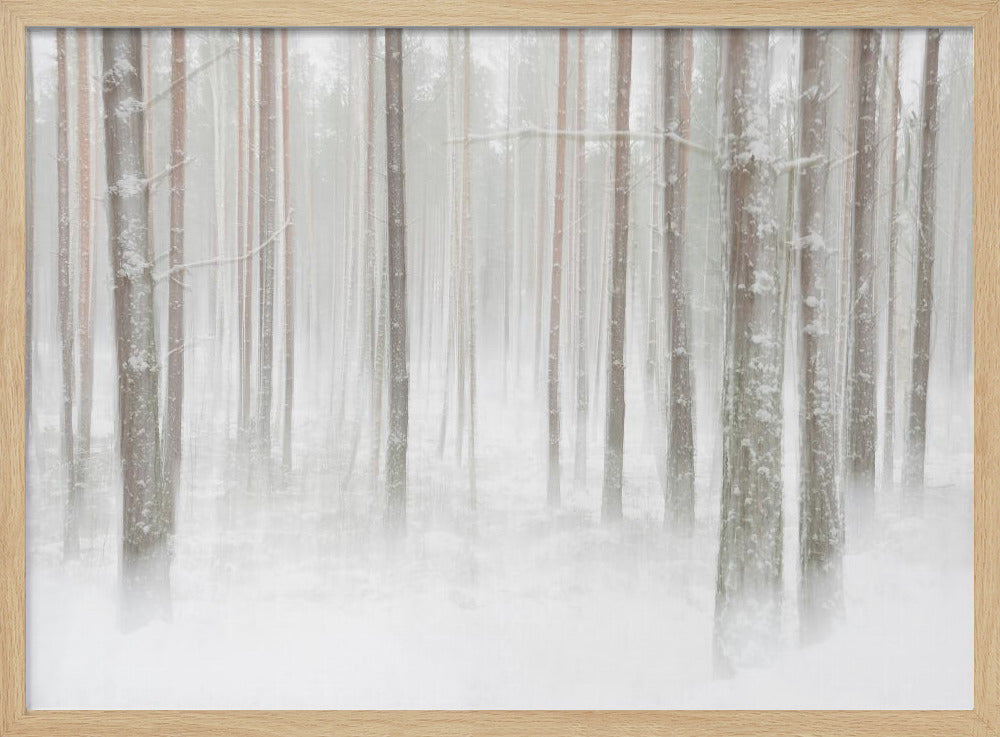 Winterbos in Zweden | Poster