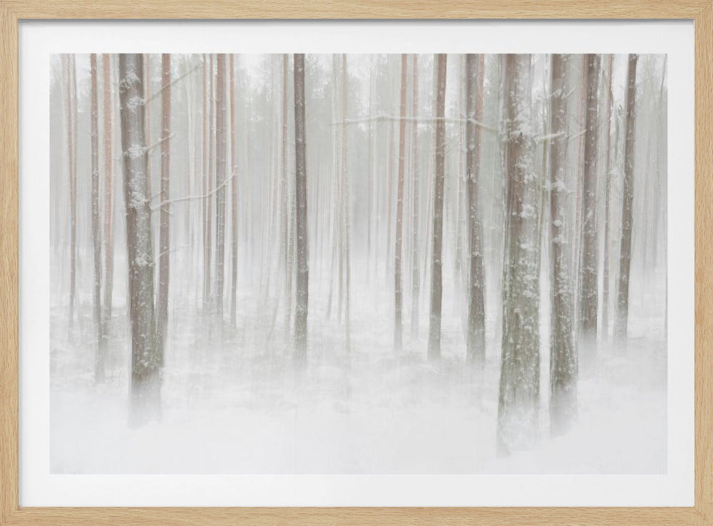 Winterbos in Zweden | Poster