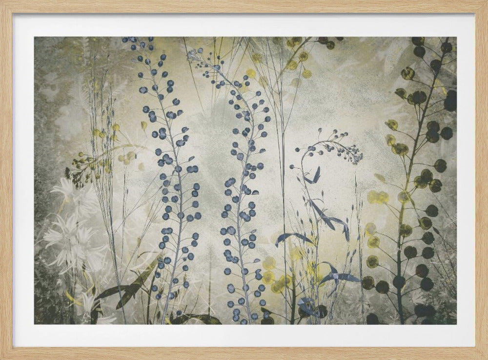 Fantasie | Poster