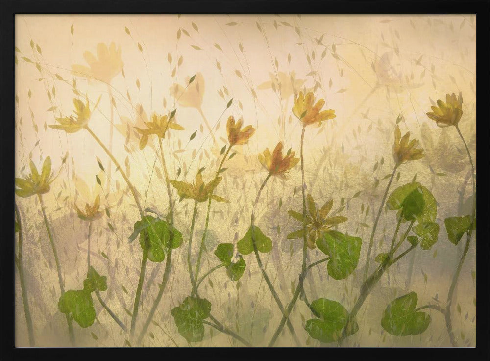 Zonnige bloemen | Poster