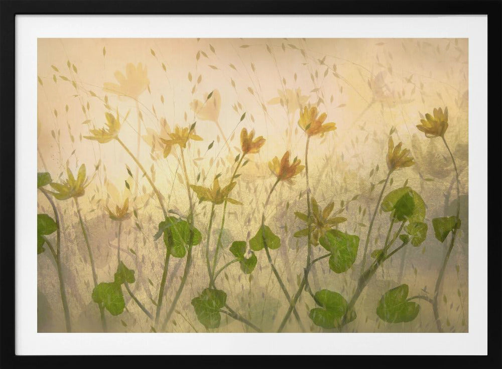 Zonnige bloemen | Poster