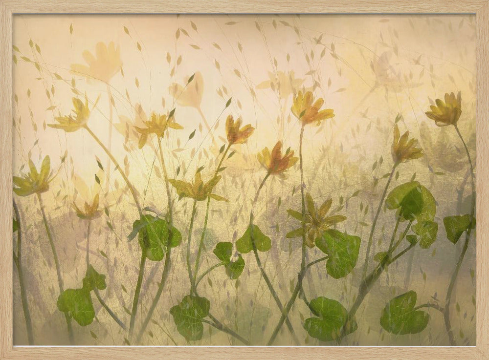 Zonnige bloemen | Poster