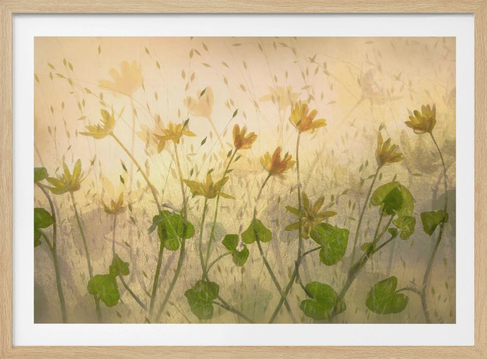 Zonnige bloemen | Poster