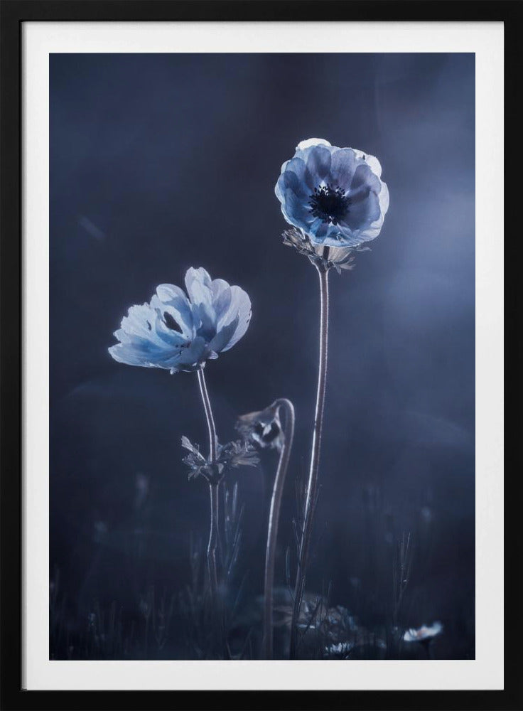 Ondertussen, buitenmuren | Poster
