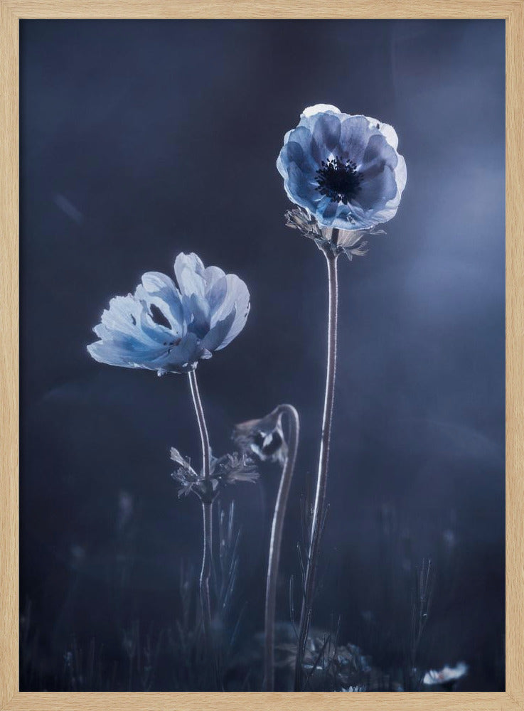Ondertussen, buitenmuren | Poster