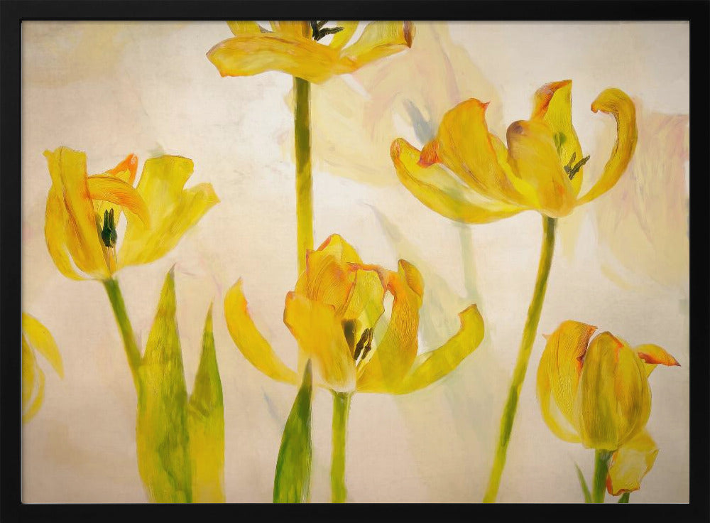 Bloeiende tulpen | Poster