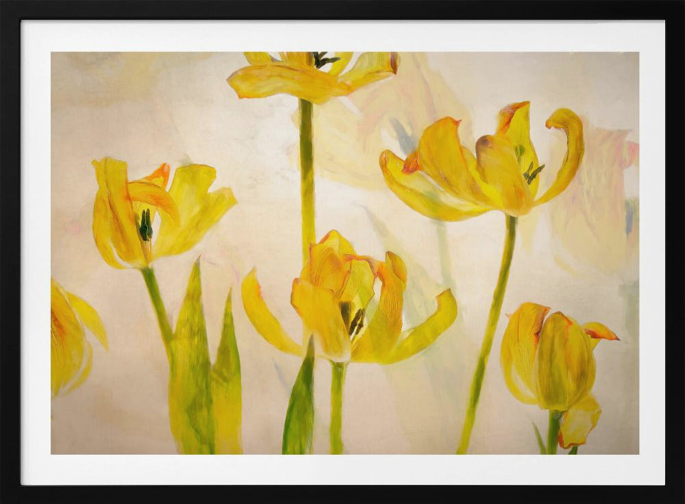 Bloeiende tulpen | Poster
