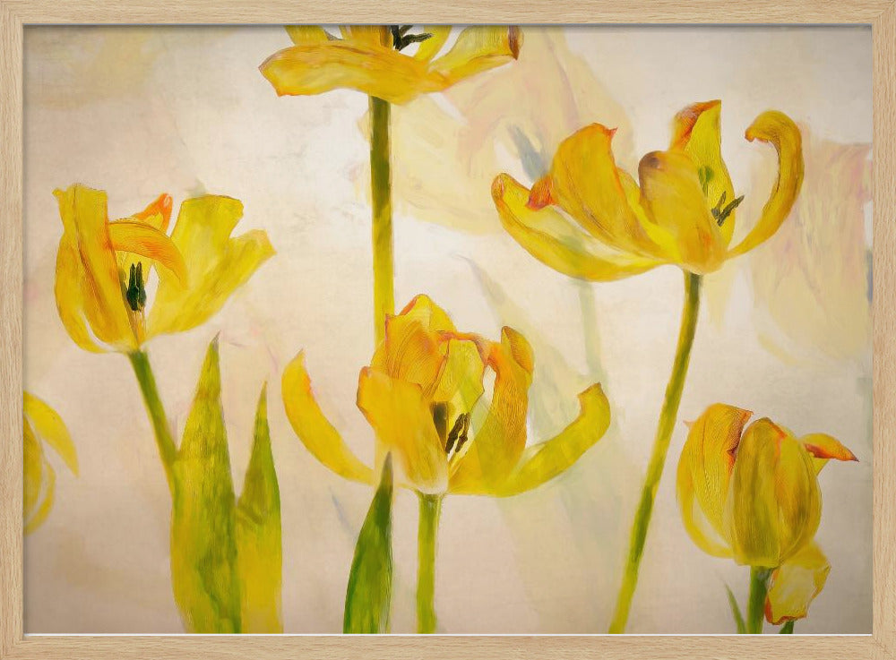 Bloeiende tulpen | Poster