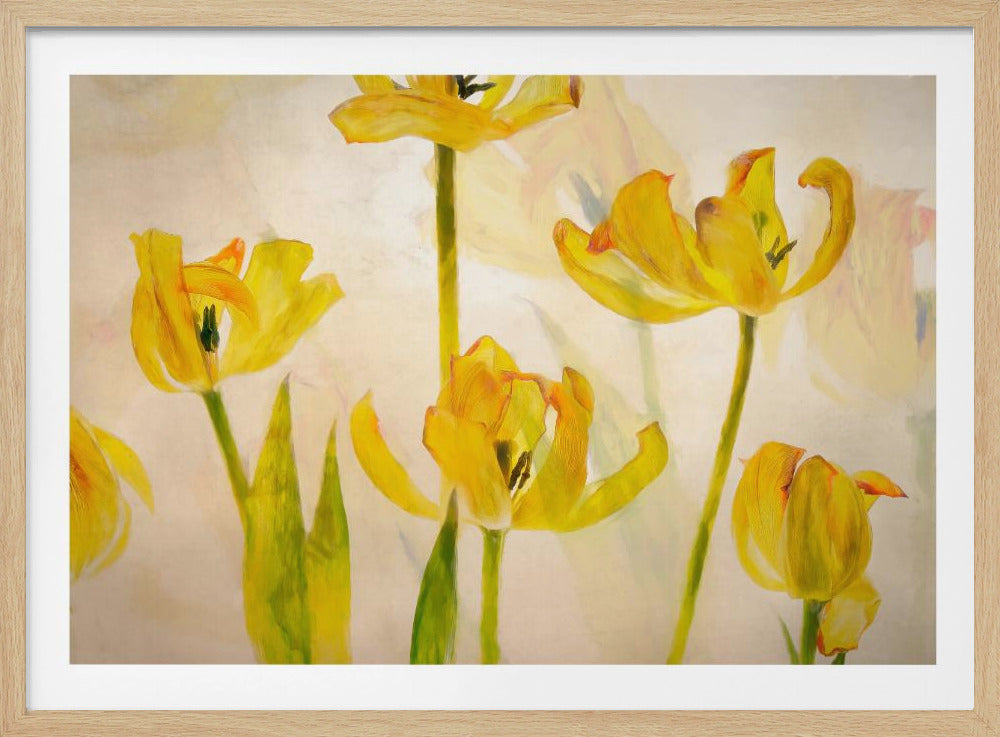Bloeiende tulpen | Poster