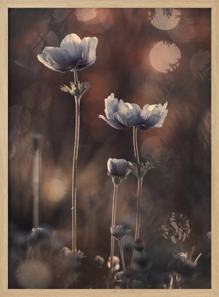 Ensemble | Poster