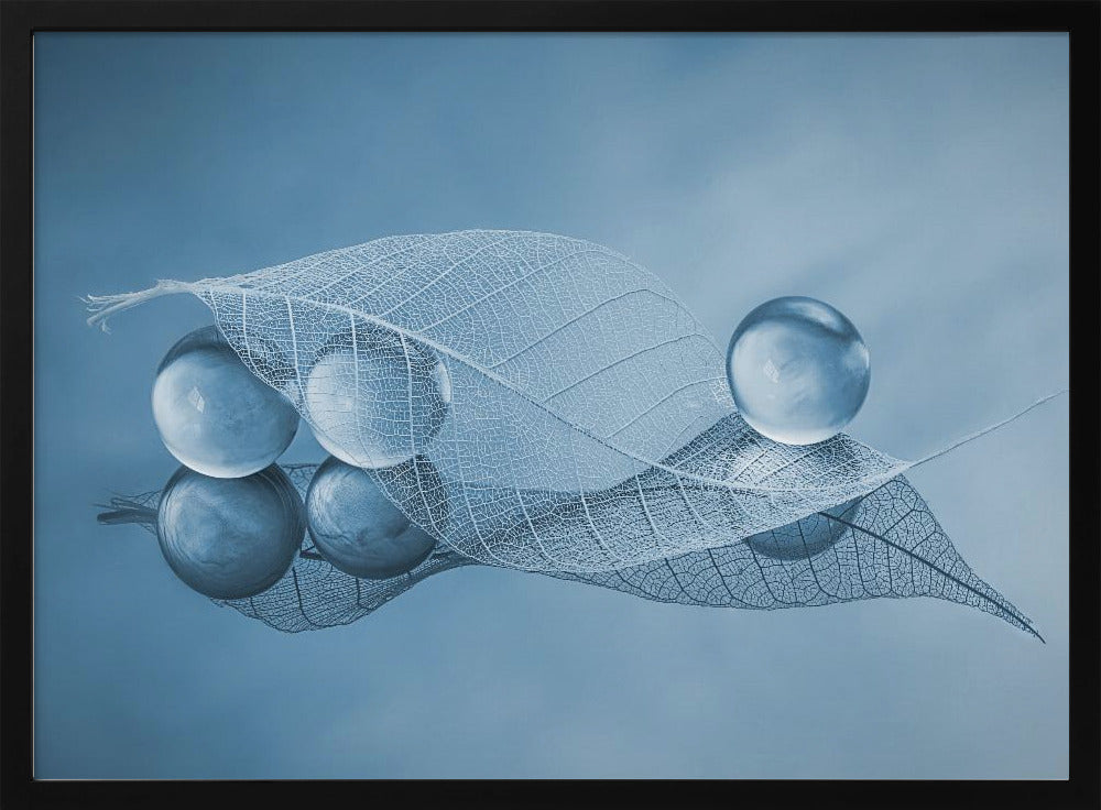 Droog blad en bubbels | Poster