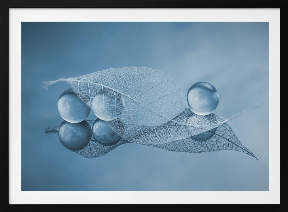 Droog blad en bubbels | Poster