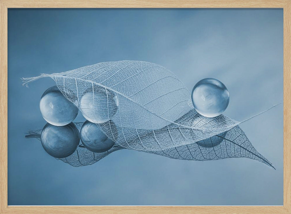 Droog blad en bubbels | Poster
