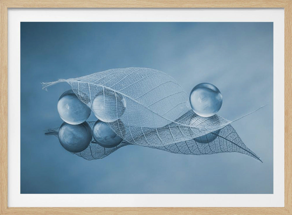 Droog blad en bubbels | Poster