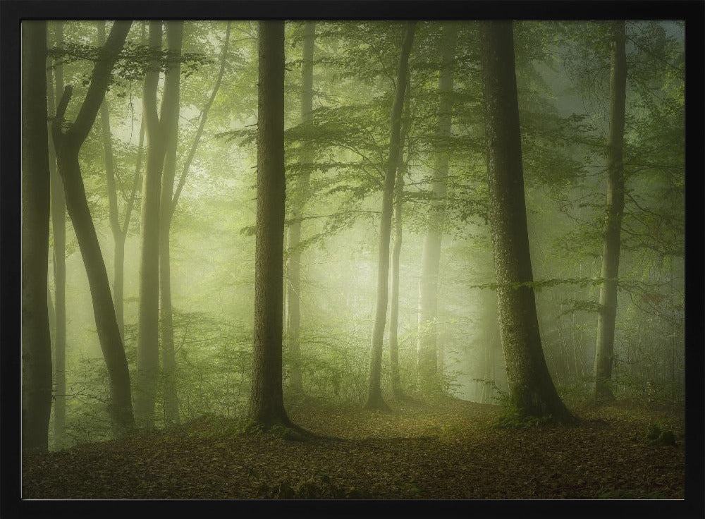 Mysterieuze lentemorgen | Poster