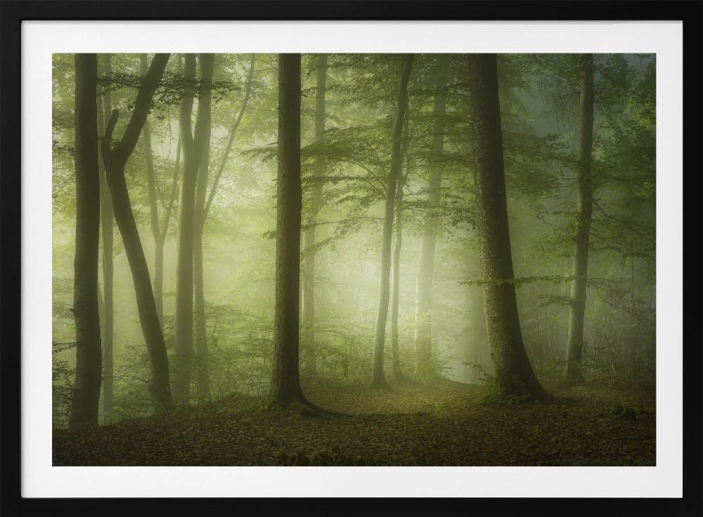 Mysterieuze lentemorgen | Poster
