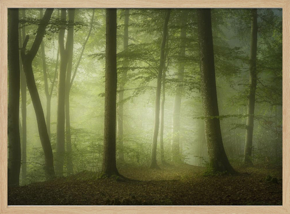 Mysterieuze lentemorgen | Poster
