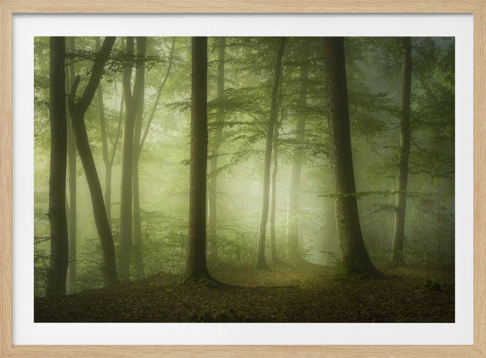 Mysterieuze lentemorgen | Poster