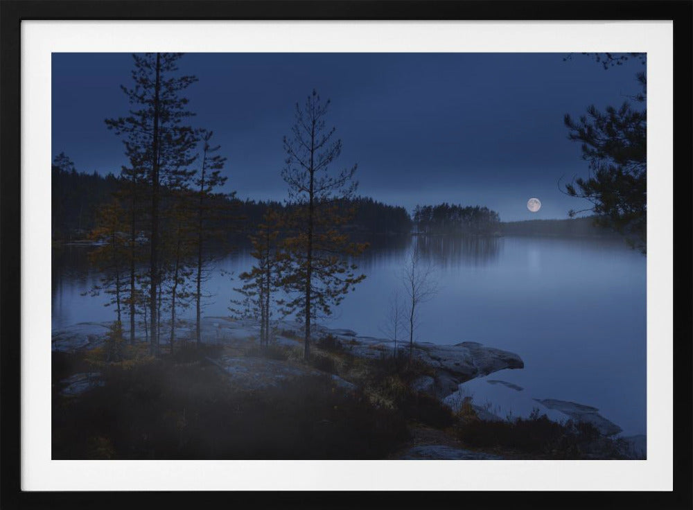 Night mist | Poster