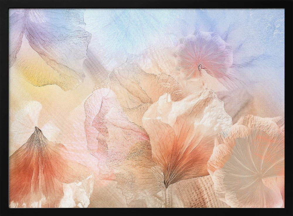 Etherische bloemen | Poster