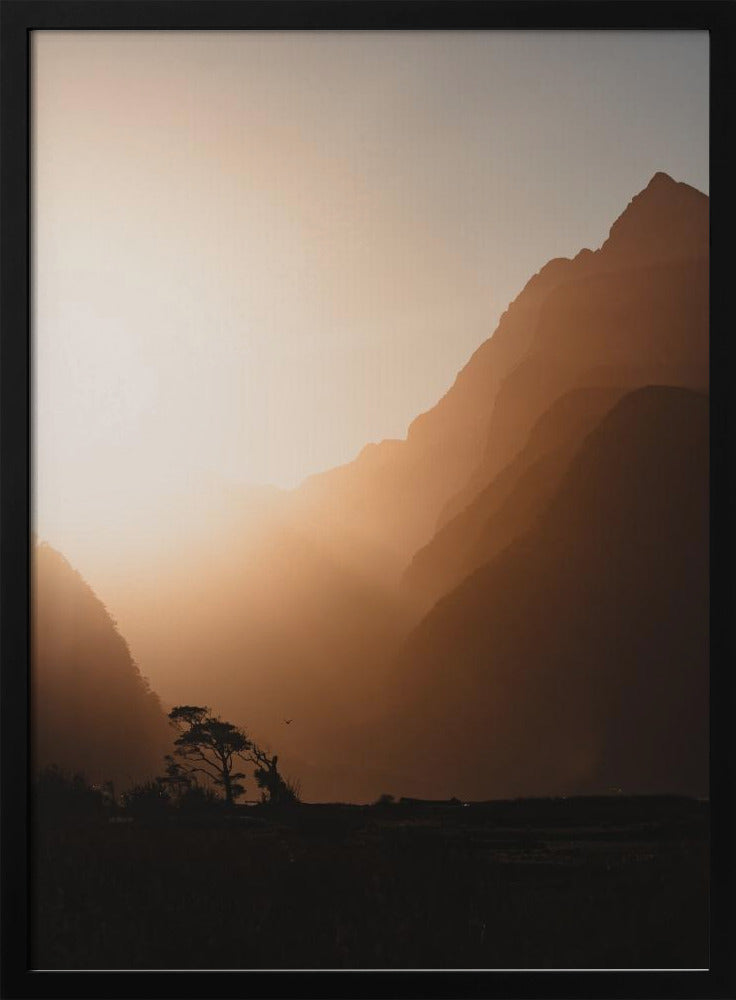 Woede, woede tegen het sterven van het licht. | Poster