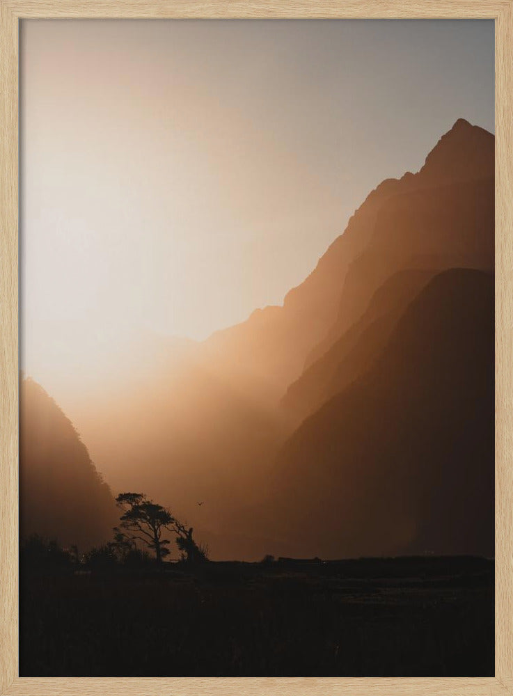Woede, woede tegen het sterven van het licht. | Poster