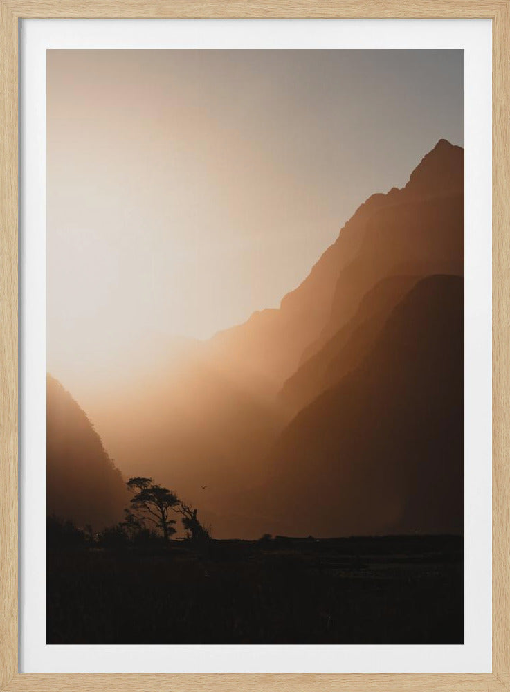Woede, woede tegen het sterven van het licht. | Poster